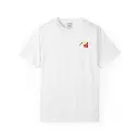 car-wizard-shirt (1).webp